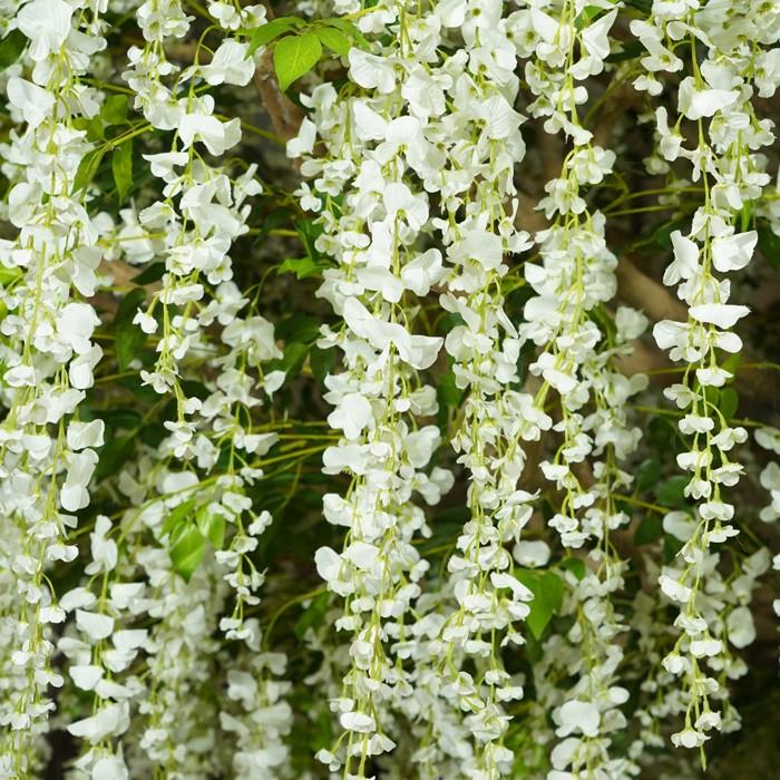 White Round Artificial Wisteria Blossom Tree