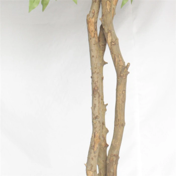 10554ace13c5217ace7421d136b3c8d2