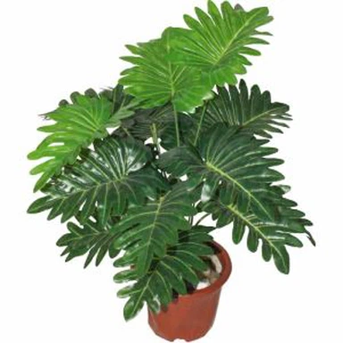 Philodendron artificiel des plantes en pot