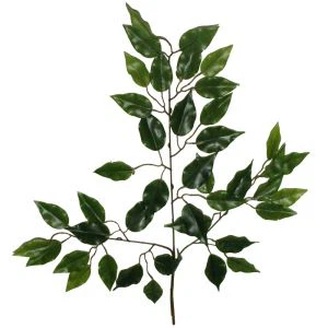Feuilles de Ficus de soie artificielle en gros