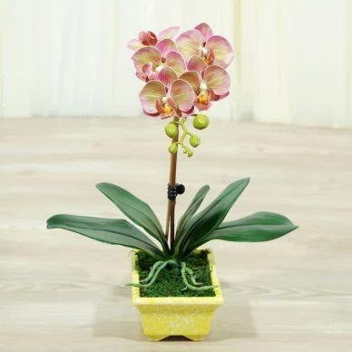 Disposition élégante d'orchidées de papillon réaliste de rose de 5 têtes d'intérieur