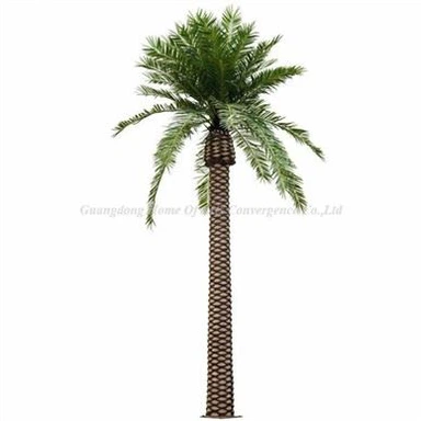Palmiers dattiers artificiels